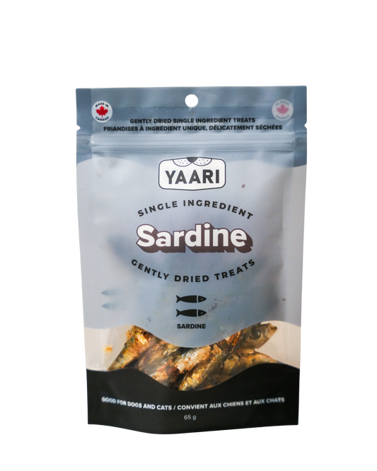 Sardine-Single Ingredient Gently Dried Treats