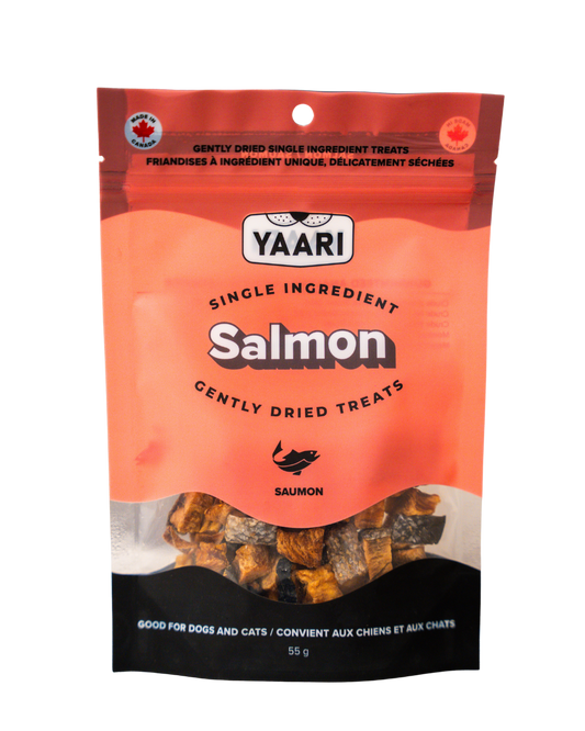 Salmon-Single Ingredient Gently Dried Treats
